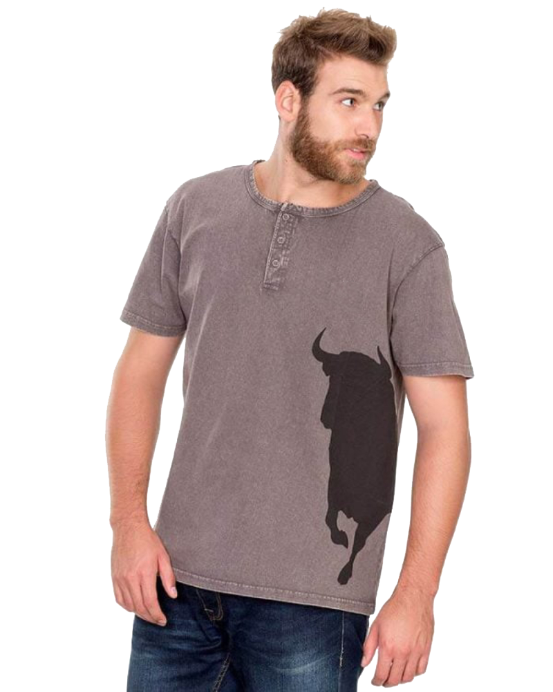 Camiseta hombre gris toro